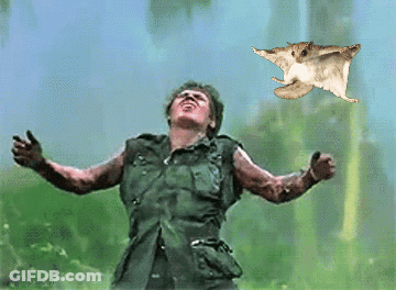 A Man With His Arms Outstretched Is Looking Up At A Flying Squirrel GIF