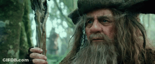 A Man With Long Hair And A Beard Holding A Stick GIF