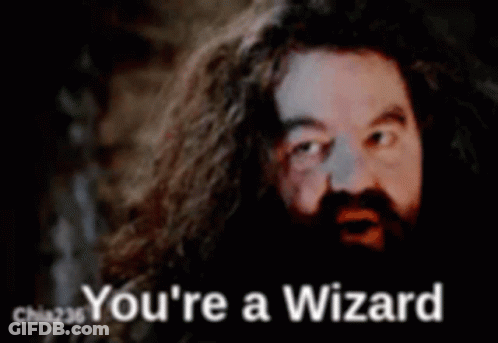 A Man With Long Hair And A Beard Is Being Called A Wizard GIF