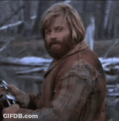 A Man With Long Hair And A Beard Is Looking At The Camera . GIF