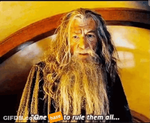 A Man With Long Hair And A Beard Is Saying One Haze To Rule Them All GIF