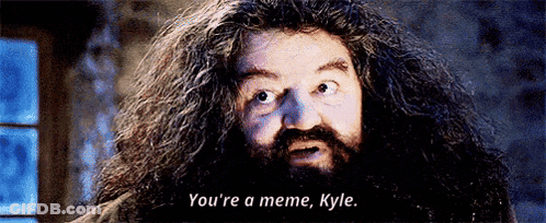 A Man With Long Hair And A Beard Is Saying `` You 'Re A Meme , Kyle '' . GIF