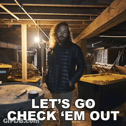 A Man With Long Hair And A Beard Is Standing In A Basement With The Words Let 'S Go Check ' Em Out GIF