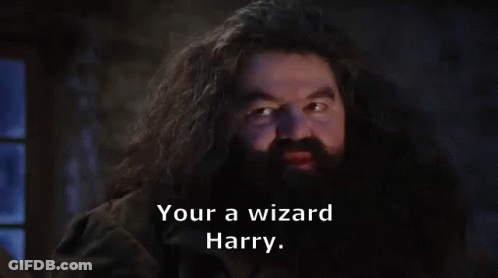 A Man With Long Hair And A Beard Is Talking To Harry Potter In A Dark Room . GIF