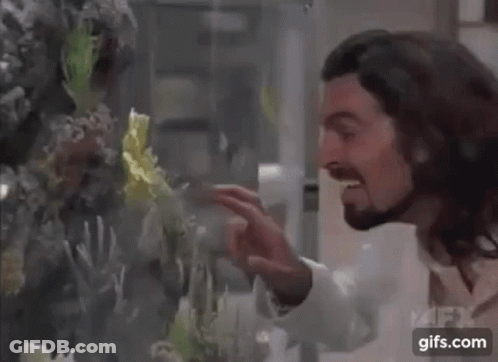 A Man With Long Hair And A Beard Is Touching A Fish Tank . GIF