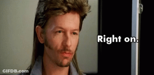 A Man With Long Hair And A Beard Is Wearing A Mullet . GIF