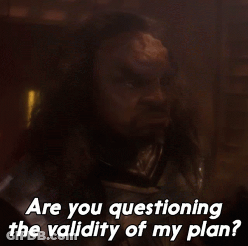 A Man With Long Hair And A Beard Says Are You Questioning The Validity Of My Plan ? GIF