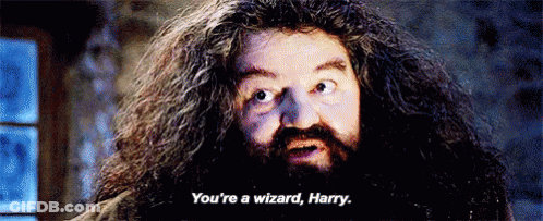 A Man With Long Hair And A Beard Says `` You 'Re A Wizard , Harry '' . GIF