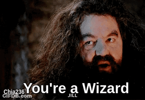 A Man With Long Hair And A Beard Says You 'Re A Wizard Jill GIF