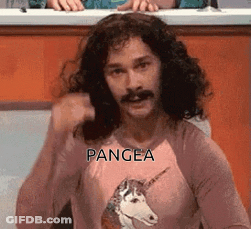 A Man With Long Hair And A Mustache Is Wearing A Pink Shirt With A Unicorn On It And The Word Pangea On It GIF