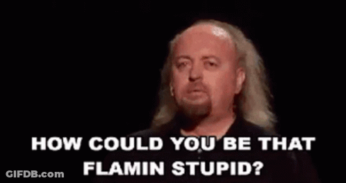 A Man With Long Hair Is Standing In Front Of A Fire And Says `` How Could You Be That Flamin Stupid ? '' GIF