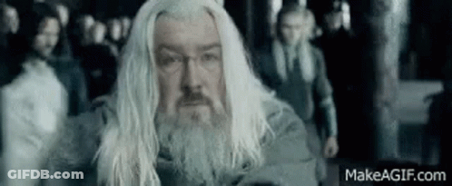 A Man With Long White Hair And A Beard Is Standing In A Crowd . GIF