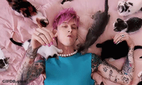 A Man With Pink Hair Is Laying On A Bed With A Bunch Of Cats GIF