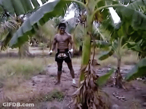 A Man Without A Shirt Is Standing In A Field Next To A Banana Tree . GIF