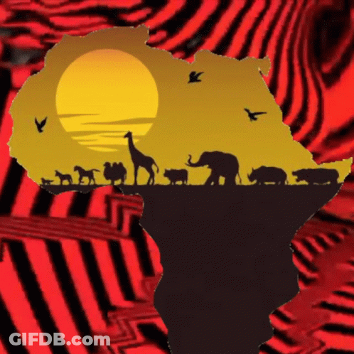 A Map Of Africa With A Sunset And Animals On It GIF