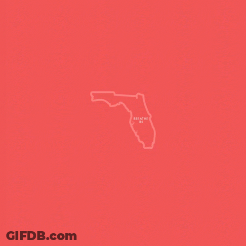 A Map Of The State Of Florida With The Words Protect Voting Rights In Florida Below It GIF