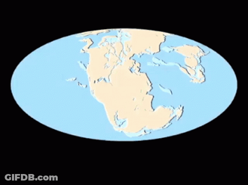 A Map Of The World Is Shown In A Oval Shape GIF