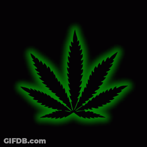 A Marijuana Leaf That Is Glowing Green GIF