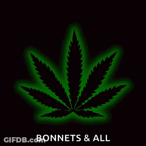 A Marijuana Leaf With The Words Bonnets & All Underneath GIF