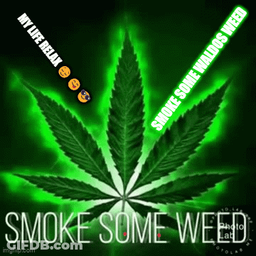 A Marijuana Leaf With The Words " Smoke Some Weed " On It GIF