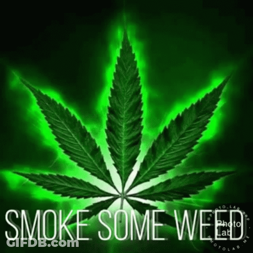 A Marijuana Leaf With The Words `` Smoke Some Weed '' Written Below It GIF
