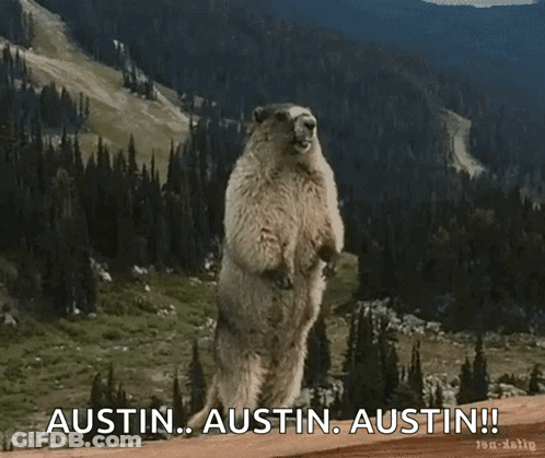 Marmot Standing With Austin Austin Austin Text GIF
