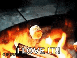 A Marshmallow Is Being Cooked Over A Fire With The Words I Love It GIF