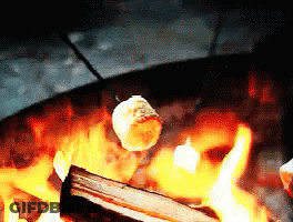A Marshmallow Is Being Roasted Over A Fire Pit GIF