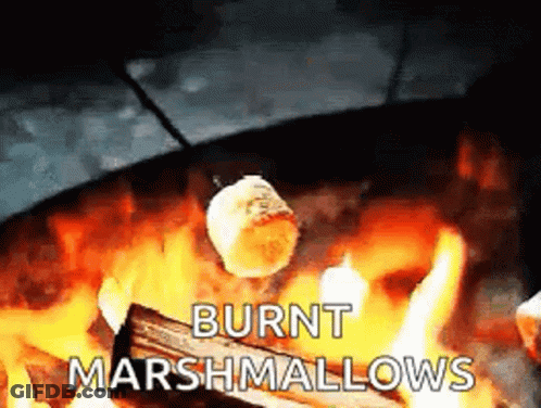A Marshmallow Is Burning In A Fire Pit With The Words `` Burnt Marshmallows '' Written Below It . GIF