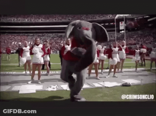 A Mascot Elephant Is Dancing On A Football Field With Cheerleaders . GIF