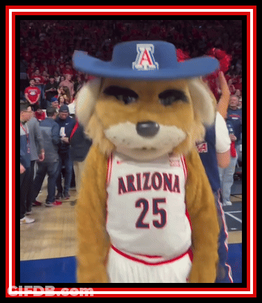 A Mascot For The Arizona Basketball Team Is Wearing A Blue Cowboy Hat GIF