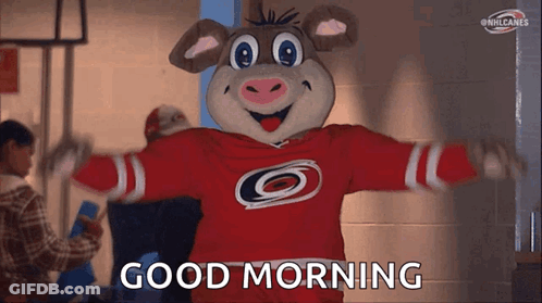 A Mascot For The Carolina Hurricanes Says Good Morning With His Arms Outstretched GIF