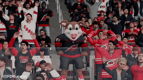 A Mascot For The Carolina Hurricanes Stands In Front Of A Crowd Of Fans GIF