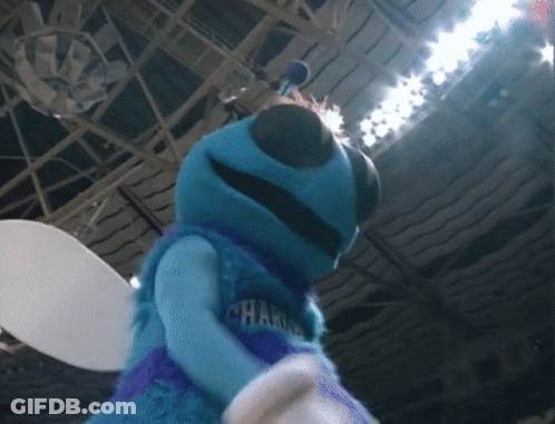 A Mascot For The Charlotte Hornets Is Dancing GIF