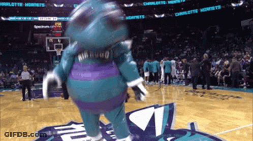 A Mascot For The Charlotte Hornets Stands On The Court GIF