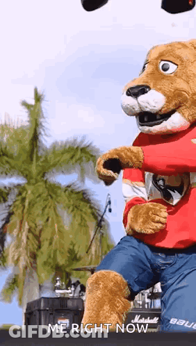 A Mascot For The Florida Panthers Is Dancing On A Stage GIF