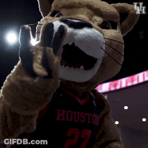 A Mascot For The Houston Basketball Team Is Pointing GIF
