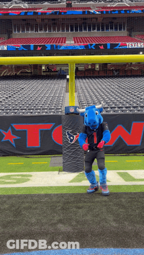 A Mascot For The Houston Texans Is Standing On A Football Field GIF