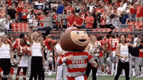 A Mascot For The Ohio State Football Team Is On The Field GIF