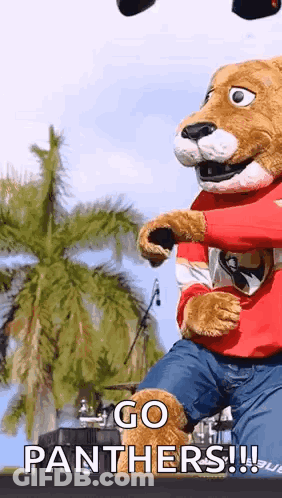 A Mascot For The Panthers Is Jumping In The Air And Says Go Panthers GIF