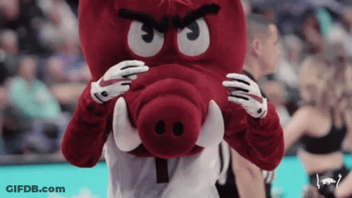 A Mascot For The University Of Arkansas Wearing Gloves GIF