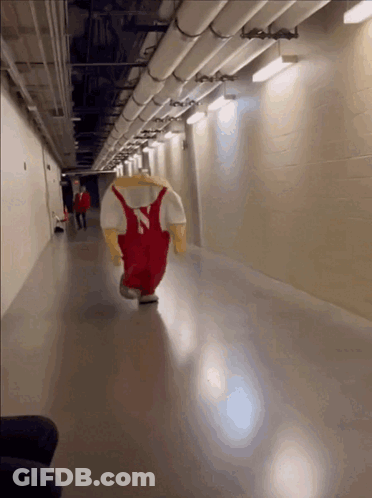 A Mascot From The University Of Iowa Is Running Down A Hallway GIF