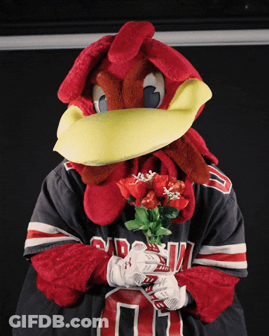 A Mascot Holding A Bouquet Of Red Roses And Wearing A Shirt That Says Devils GIF