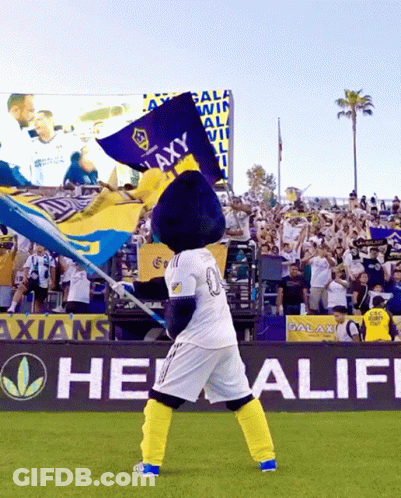 A Mascot Holding A Flag That Says " Galaxy " On It GIF