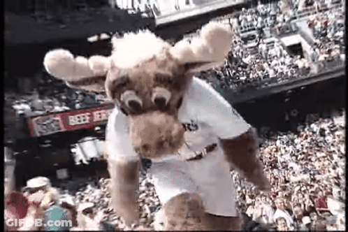 A Mascot In A Moose Costume Is Jumping In The Air In Front Of A Crowd . GIF