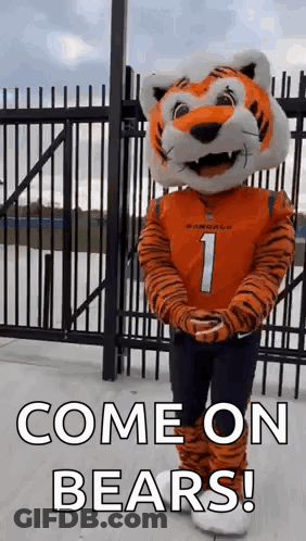 A Mascot In A Tiger Costume Is Standing In Front Of A Fence And Says `` Come On Bears '' . GIF