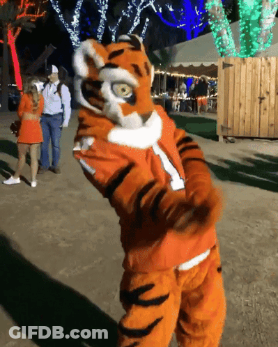 A Mascot In A Tiger Costume Stands In Front Of A Group Of People GIF