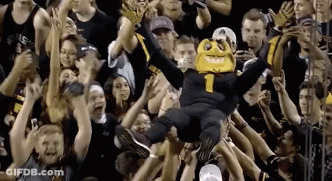 A Mascot Is Being Thrown In The Air By A Crowd Of Fans . GIF