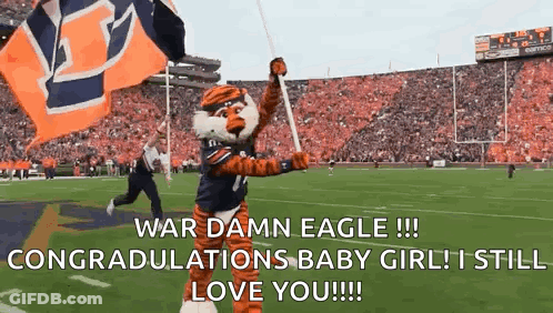 A Mascot Is Holding A Flag On A Football Field And Says `` War Damn Eagle ! '' GIF