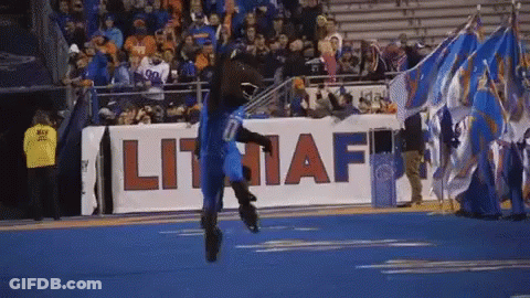 A Mascot Is Running On A Field In Front Of A Lit Naf Sign GIF